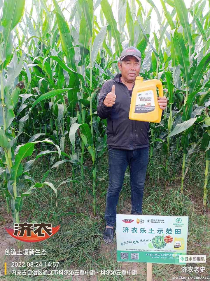 The Effect of Using Jinong Letu for Corn in Inner Mongolia 1(图7)