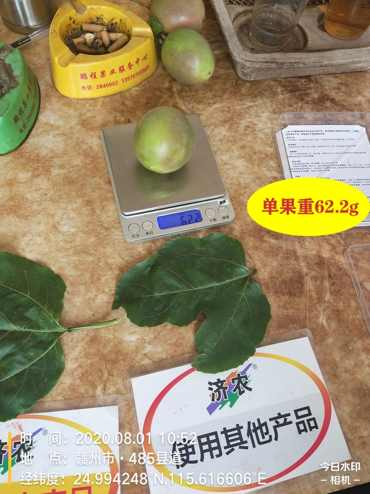 The Effect of Using Jinong 800 for Jiangxi Passion Fruit(图9)