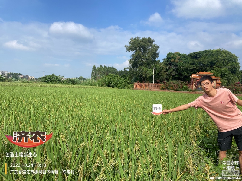 The effect of using agricultural products in Guangdong rice(图4)