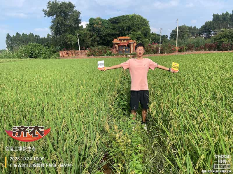 The effect of using agricultural products in Guangdong rice(图1)