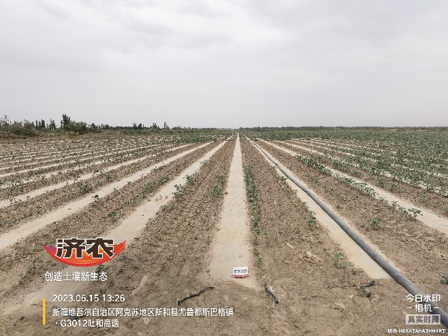 The effect of using agricultural products in Xinjiang cotton(图4)