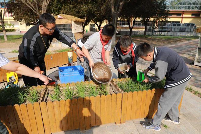 Dingtian Jinong donates nutritional fertilizers to Yangling High tech Primary School and continues to promote the Small Farmer Plan(图10)